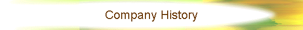 Company History